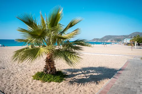 Tropical Paradise 4K Wallpaper · tropical · 3840×2560