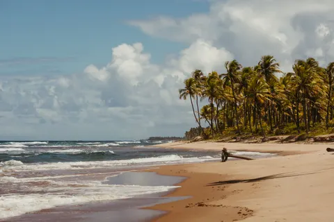 Tropical Paradise 4K Wallpaper · tropical · 3840×2561