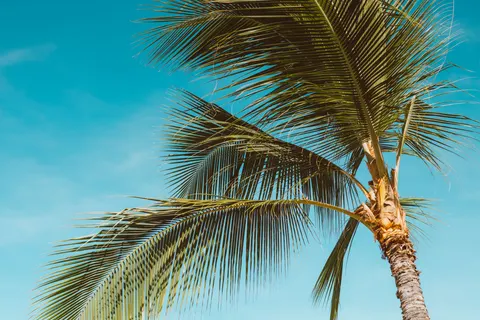 Tropical Paradise 4K Wallpaper · tropical · 3840×2560