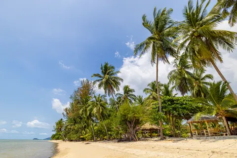 Tropical Paradise 4K Wallpaper · tropical · 3840×2561