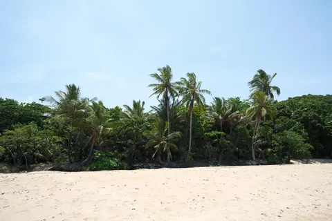 Tropical Paradise 4K Wallpaper · tropical · 3840×2560