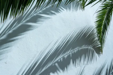 Tropical Paradise 4K Wallpaper · tropical · 3840×2560