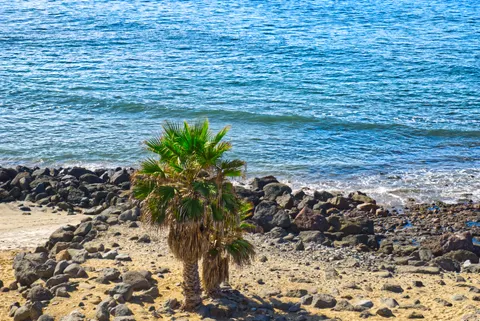 Tropical Paradise 4K Wallpaper · tropical · 3840×2565