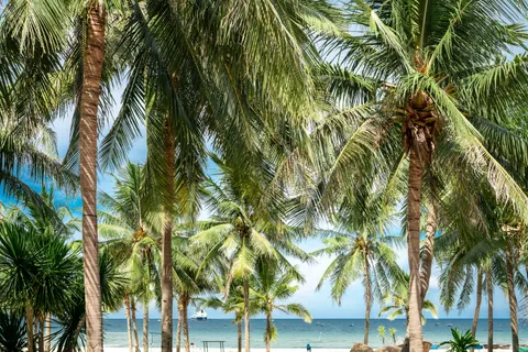 Tropical Paradise 4K Wallpaper · tropical · 3840×2561