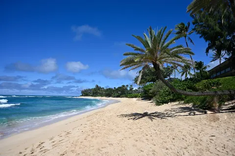 Обои Тропический рай 4K · tropical · 3840×2555