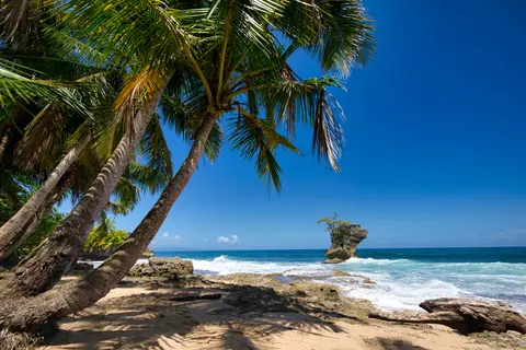 Tropical Paradise 4K Wallpaper · tropical · 3840×2560