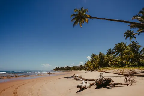 Tropical Paradise 4K Wallpaper · tropical · 3840×2561