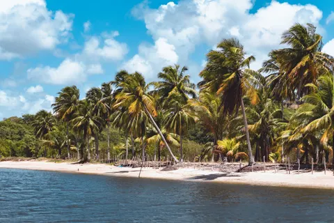 Tropical Paradise 4K Wallpaper · tropical · 3840×2560