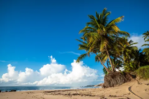 Tropical Paradise 4K Wallpaper · tropical · 3840×2560