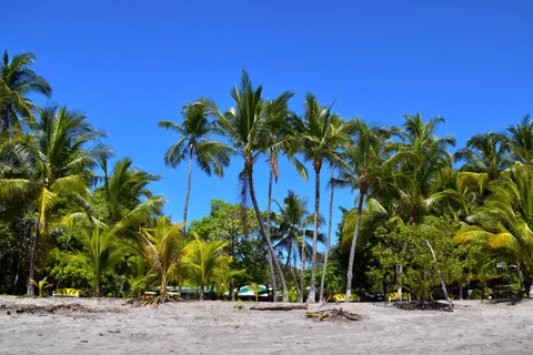 Tropical Paradise 4K Wallpaper · tropical · 3840×2560