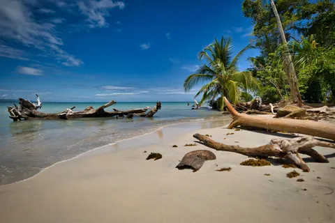 Tropical Paradise 4K Wallpaper · tropical · 3840×2560