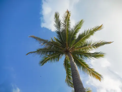 Tropical Paradise 4K Wallpaper · tropical · 3840×2880