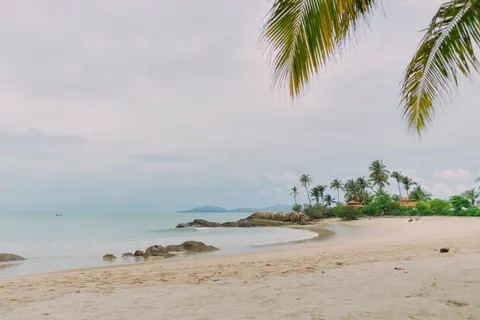 Tropical Paradise 4K Wallpaper · tropical · 3840×2560