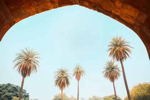 Palm Trees 4K Wallpaper · tropical · 3840×2560