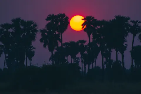 Tropical Sunset 4K Wallpaper · tropical · 3840×2560
