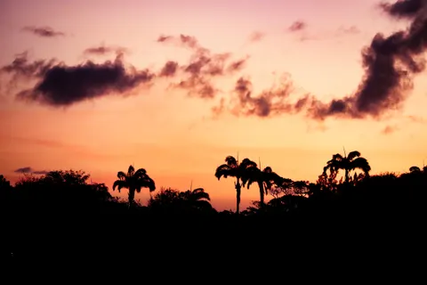 Tropical Sunset 4K Wallpaper · tropical · 3840×2560