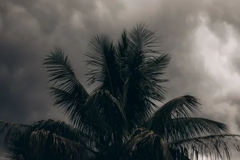 Dark Storm 4K Wallpaper · dark · 3840×2560