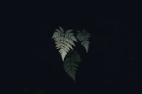 والپیپر بافت تیره با کیفیت 4K · dark · 3840×2555
