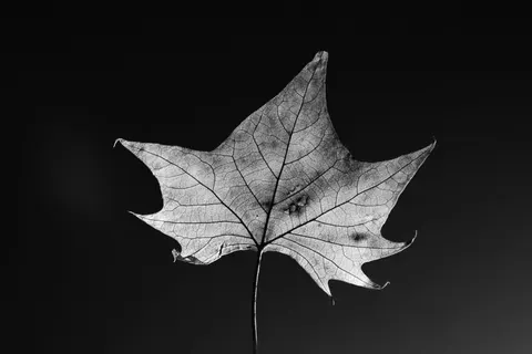 Dark Texture 4K Wallpaper · dark · 3840×2560