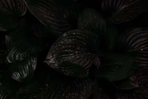 Dark Texture 4K Wallpaper · dark · 3840×2560