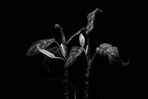 Dark Texture 4K Wallpaper · dark · 3840×2560