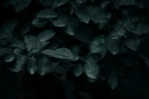 Dark Texture 4K Wallpaper · dark · 3840×2560