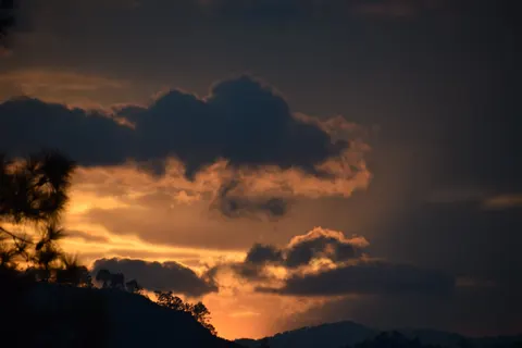 Golden Sunset 4K Wallpaper · sunset · 3840×2560