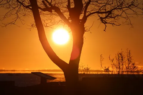 Sunset Silhouette 4K Wallpaper · sunset · 3840×2561