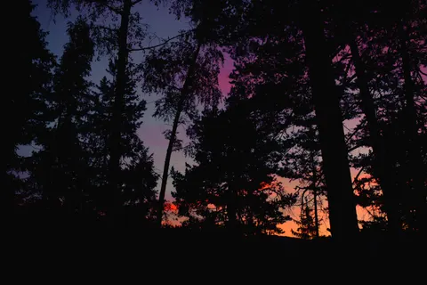 Sunset Silhouette 4K Wallpaper · sunset · 3840×2560
