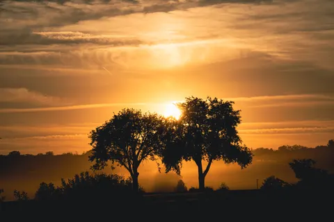 Sunset Silhouette 4K Wallpaper · sunset · 3840×2560