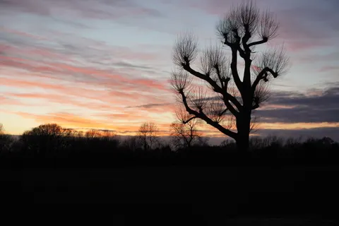 Sunset Silhouette 4K Wallpaper · sunset · 3840×2560