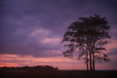 Sunset Silhouette 4K Wallpaper · sunset · 3840×2561