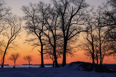 Sunset Silhouette 4K Wallpaper · sunset · 3840×2561