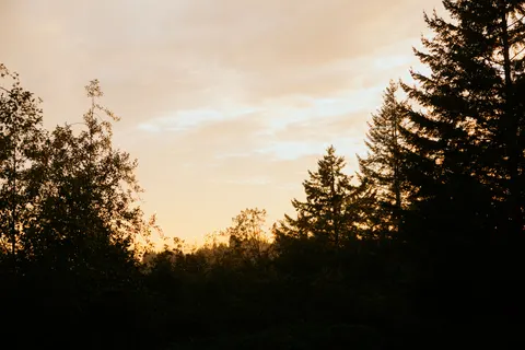 Sunset Silhouette 4K Wallpaper · sunset · 3840×2561