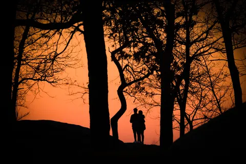 Sunset Silhouette 4K Wallpaper · sunset · 3840×2561