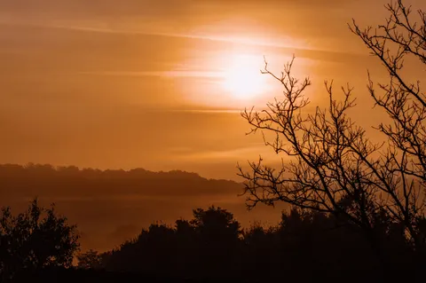 Sunset Silhouette 4K Wallpaper · sunset · 3840×2553
