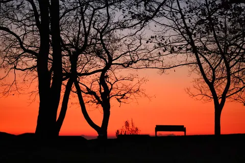 Sunset Silhouette 4K Wallpaper · sunset · 3840×2561