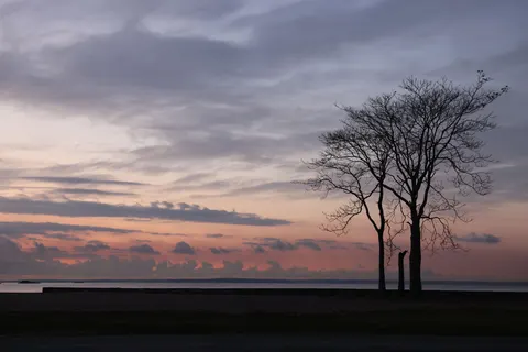 Sunset Silhouette 4K Wallpaper · sunset · 3840×2561