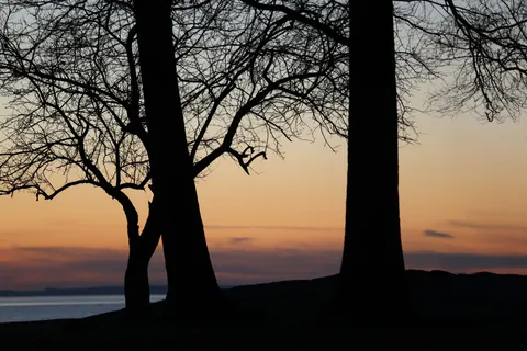 Sunset Silhouette 4K Wallpaper · sunset · 3840×2561