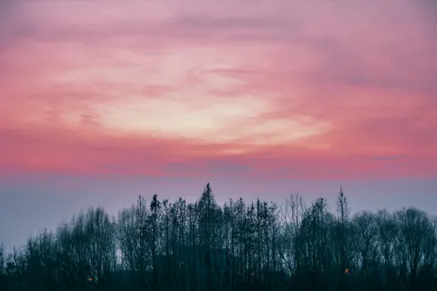 Sunset Silhouette 4K Wallpaper · sunset · 3840×2560