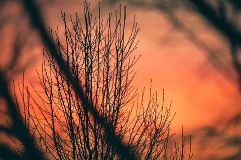 Sunset Silhouette 4K Wallpaper · sunset · 3840×2560