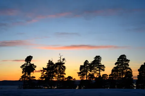 Sunset Silhouette 4K Wallpaper · sunset · 3840×2555