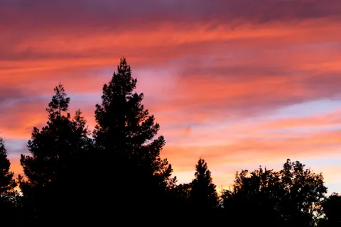 Sunset Silhouette 4K Wallpaper · sunset · 3840×2560