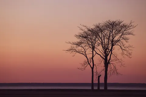Sunset Silhouette 4K Wallpaper · sunset · 3840×2561