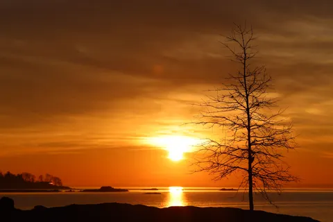 Sunset Silhouette 4K Wallpaper · sunset · 3840×2561