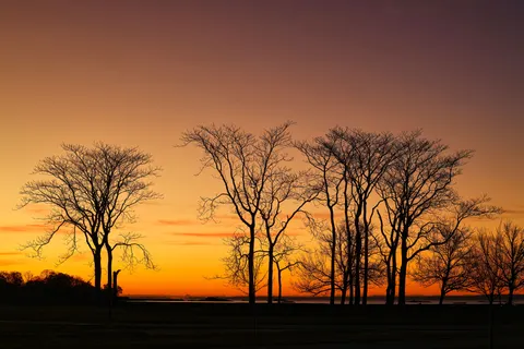 Sunset Silhouette 4K Wallpaper · sunset · 3840×2561