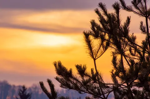 Sunset Silhouette 4K Wallpaper · sunset · 3840×2553