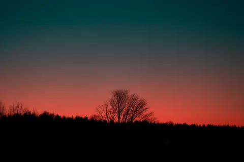 Sunset Silhouette 4K Wallpaper · sunset · 3840×2560