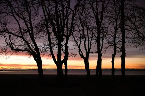 Sunset Silhouette 4K Wallpaper · sunset · 3840×2561