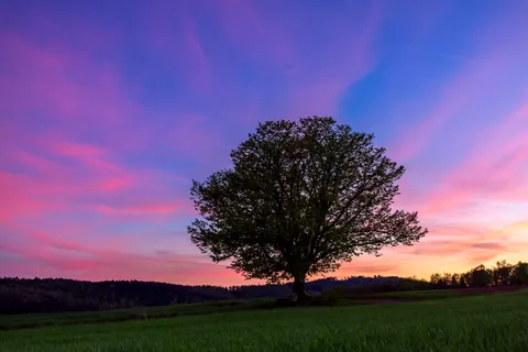 Pink Sunset 4K Wallpaper · sunset · 3840×2560